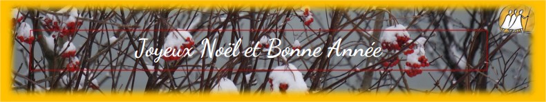 Joyeux Noël et Bonne année 2020 CVX Bourgogne 